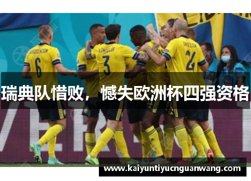 瑞典队惜败，憾失欧洲杯四强资格